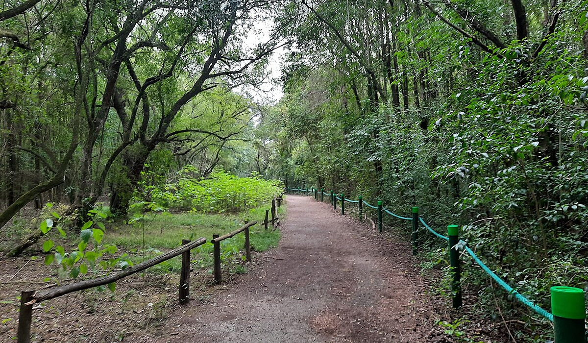 Parque Nacional Ciervo de los Pantanos