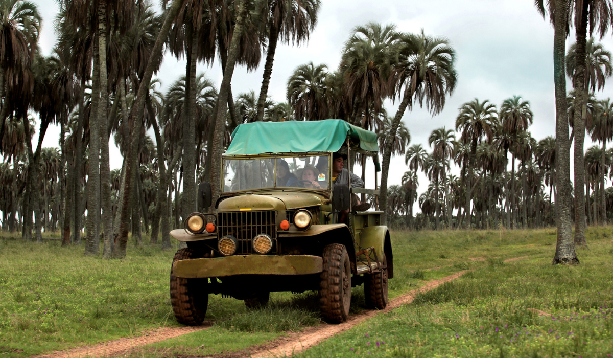 Parque Nacional El Palmar