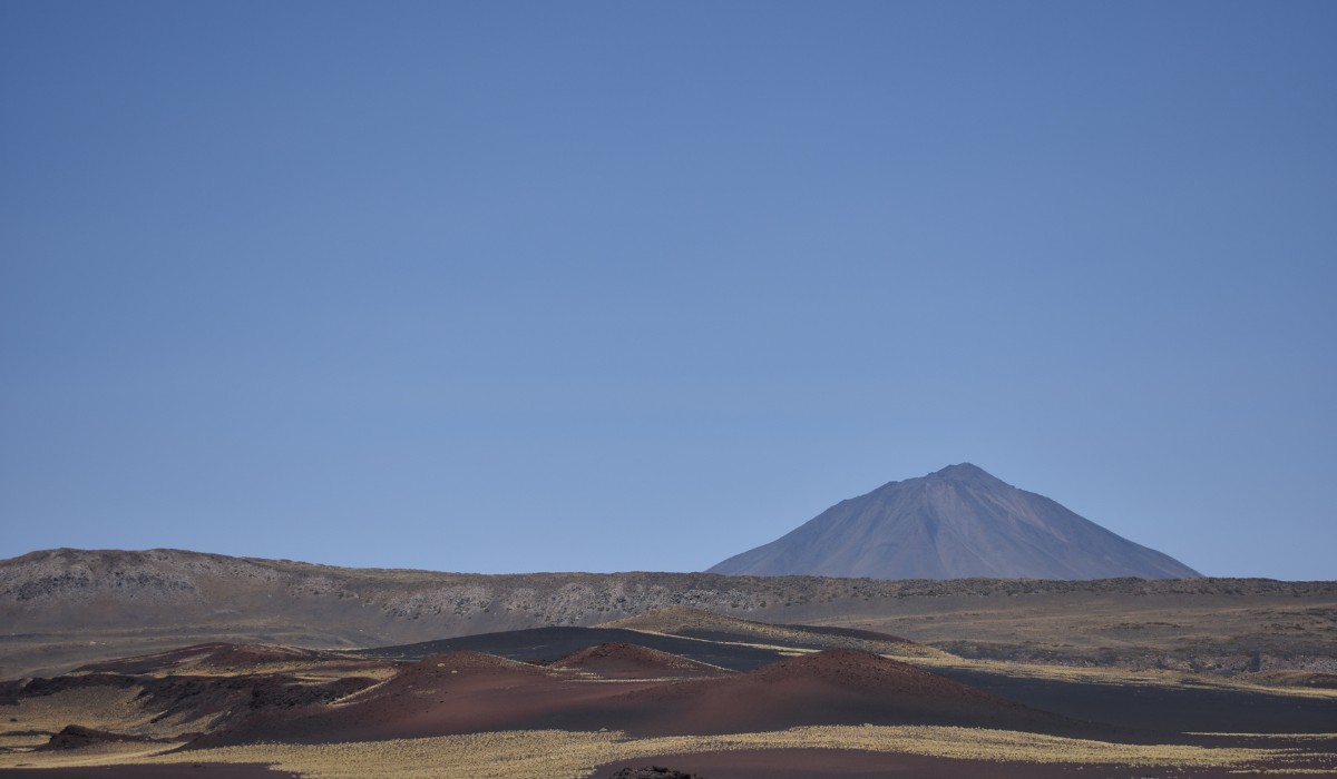 Reserva Provincial La Payunia