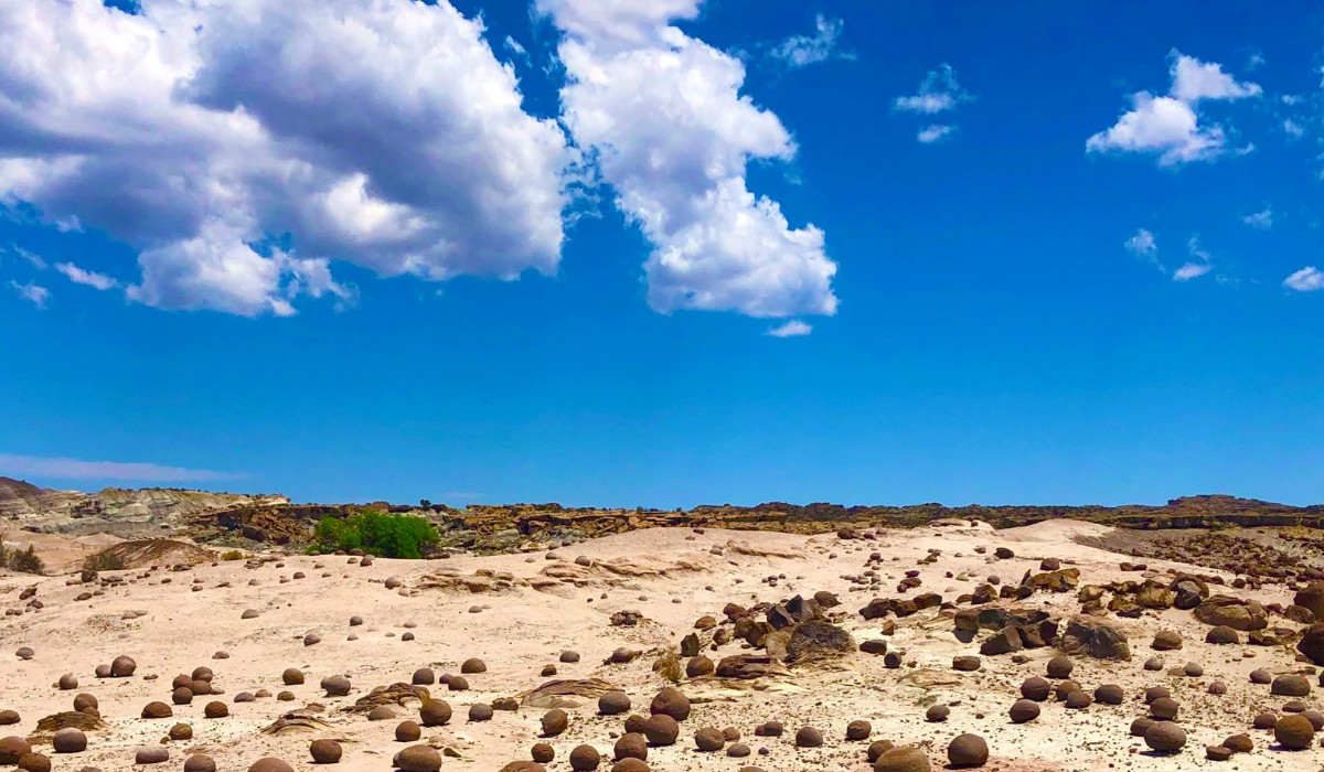 Cambo de Bochas en el Parque Provincial Ischigualasto