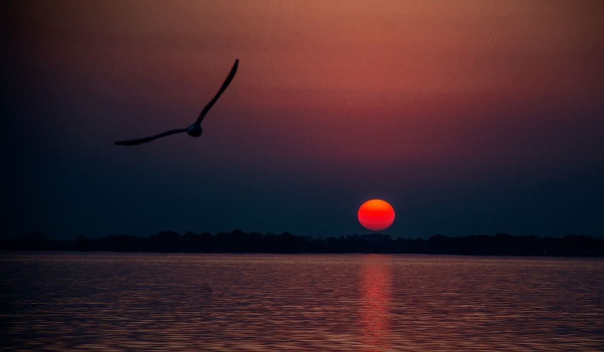 Atardecer en la laguna de Chascomús