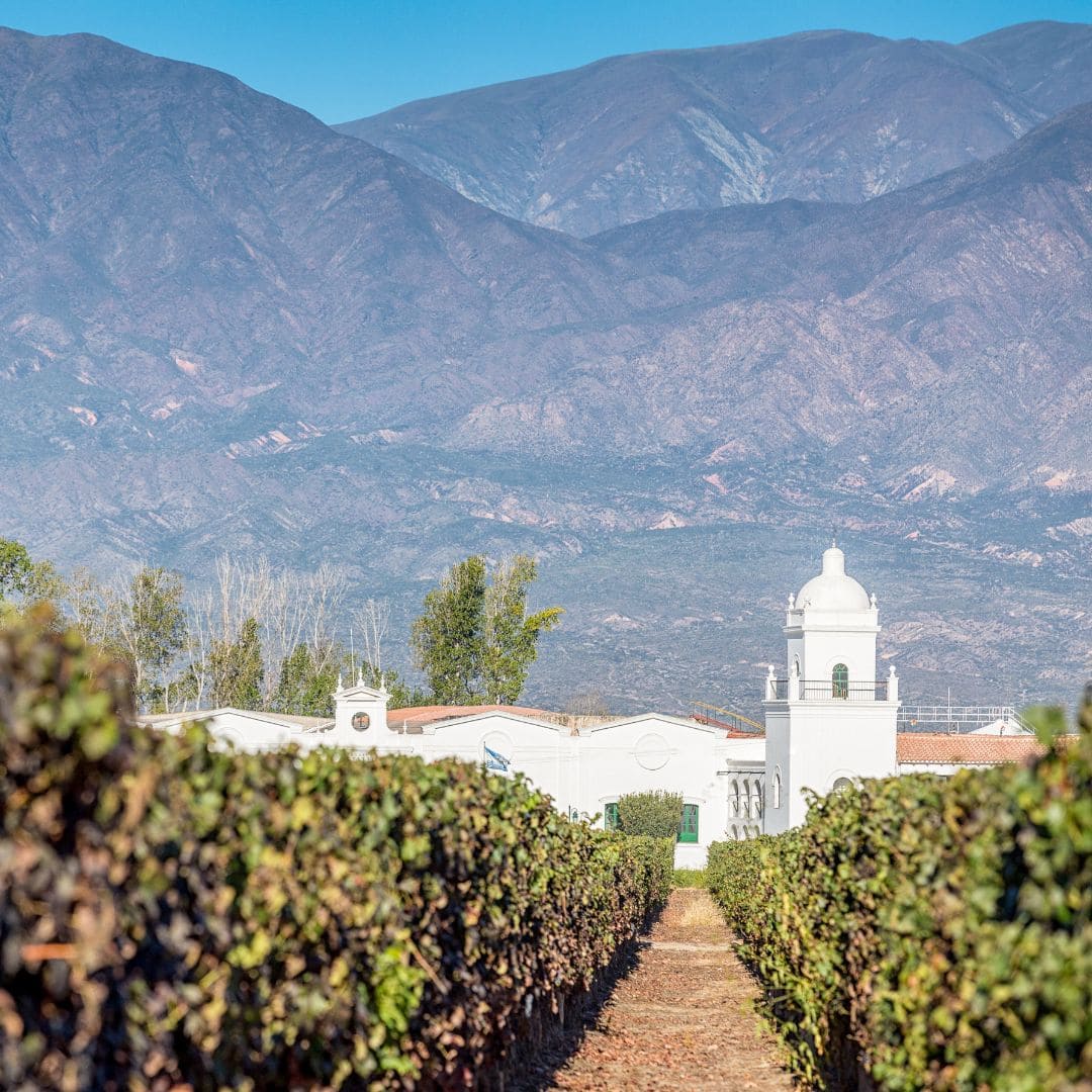Bodega El Esteco
