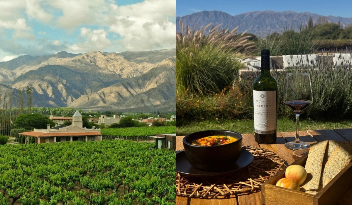 Bodega El Porvenir
