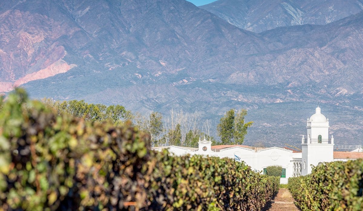 Bodega El Esteco