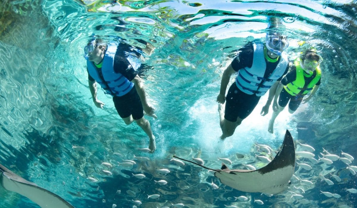Haciendo snorkel en un parque de Orlando