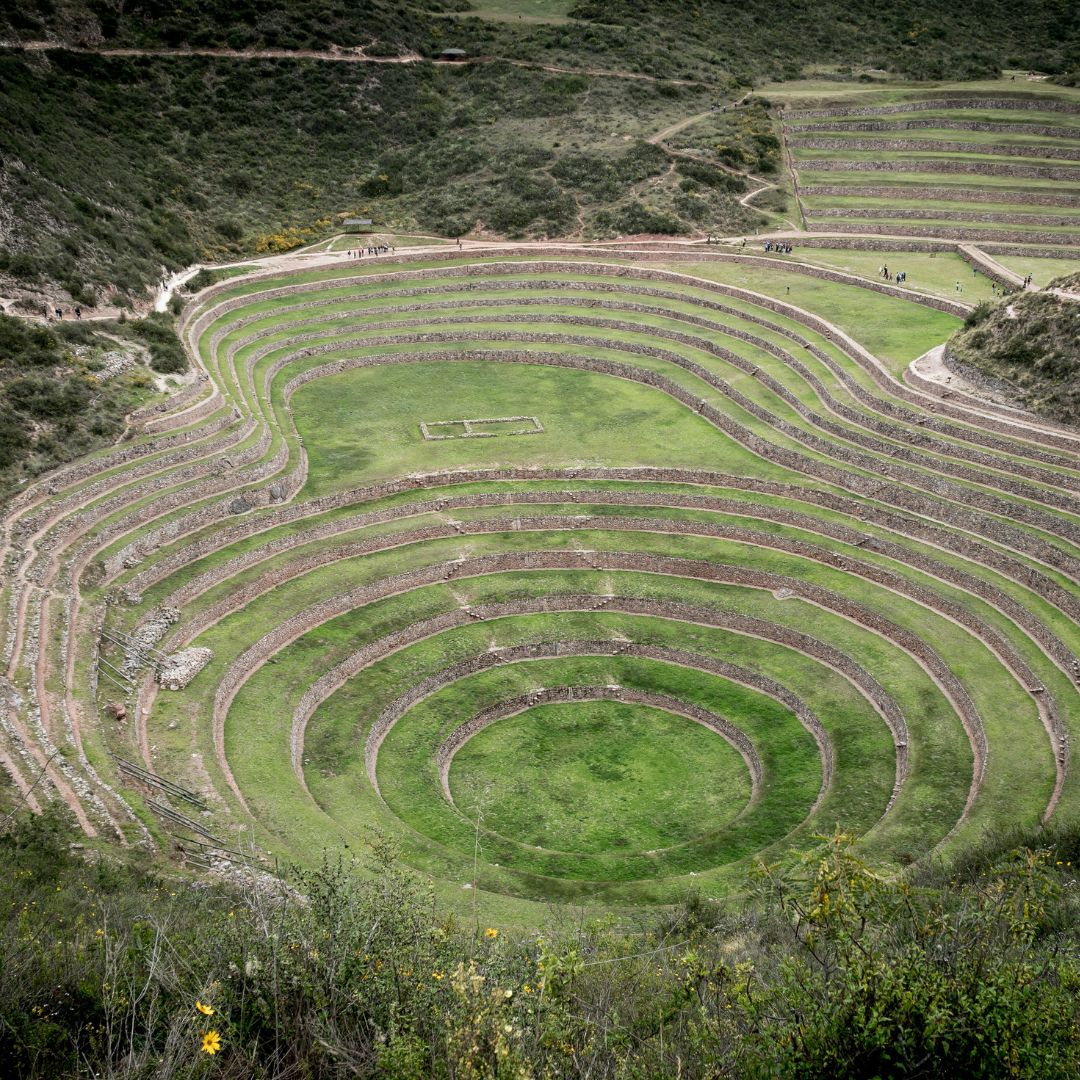 Moray