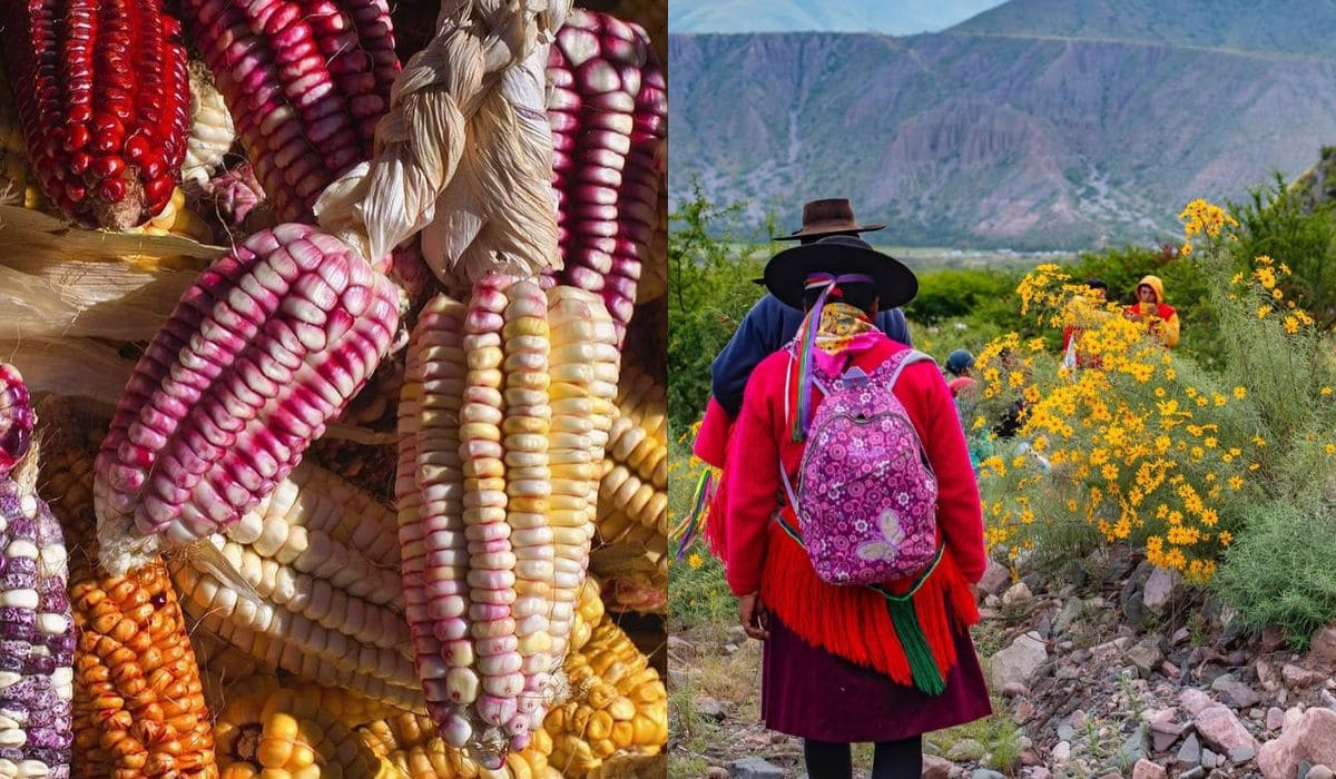 Alimentos en el Día de la Pachamama