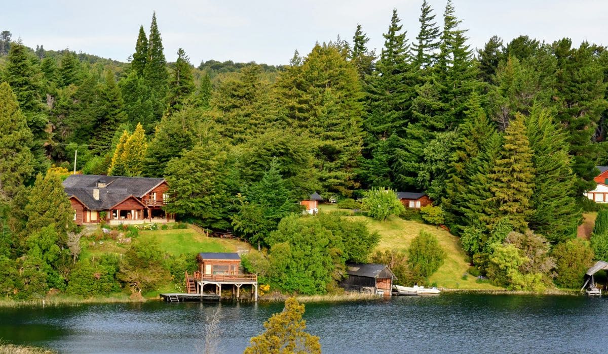 Los hermosos paisajes del bosque patagónico