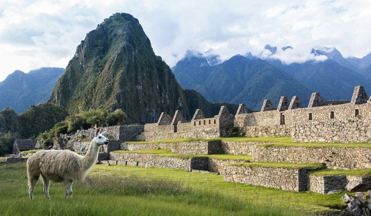 Una típica postal de Mahcu Picchu