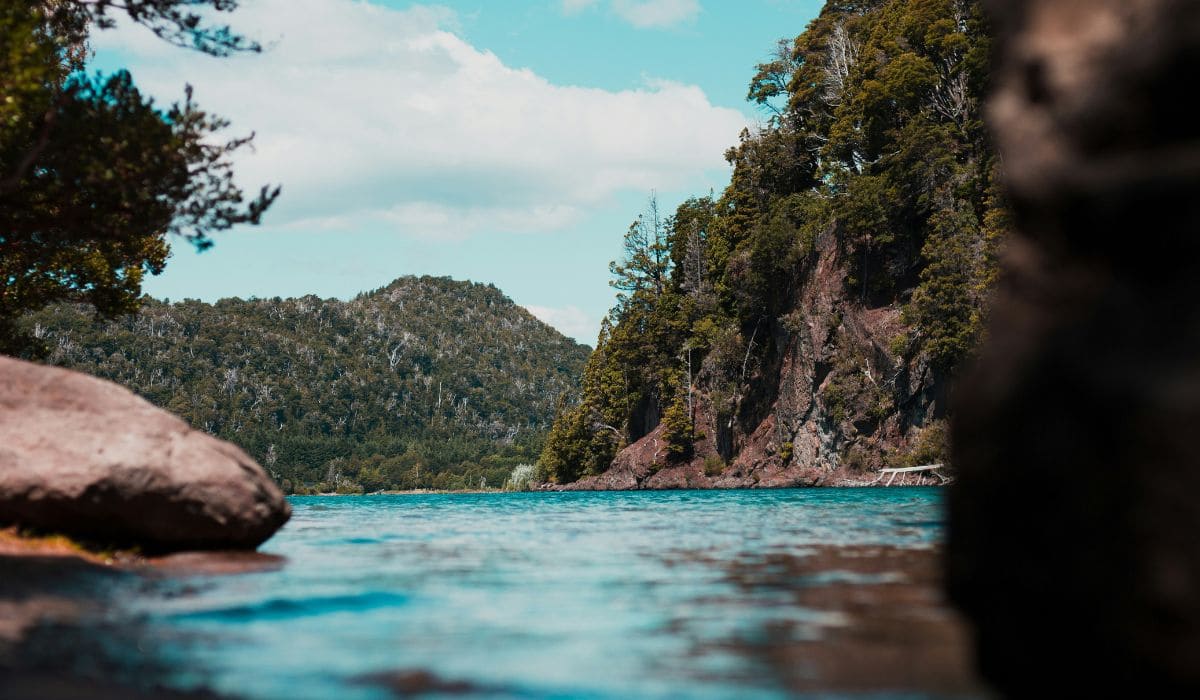 Un arroyo en Bariloche en verano